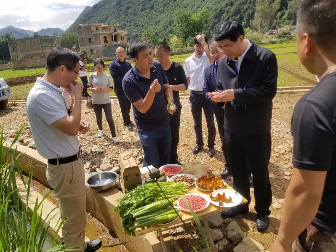 龙8-long8(国际)中国唯一官方网站